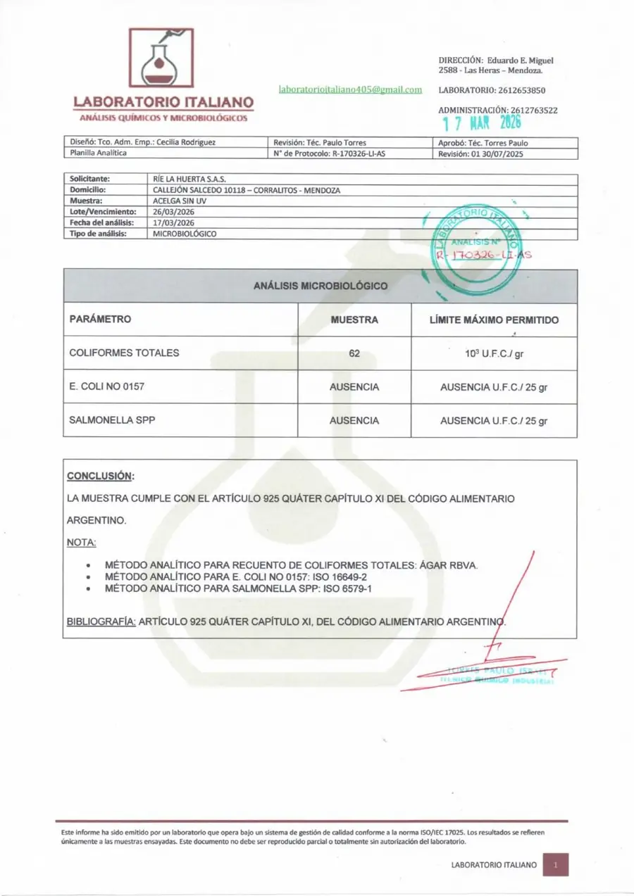 Informe de laboratorio de coliformes totales en acelga sin tratamiento UV-C: 62 UFC/g, Rie La Huerta, Mendoza